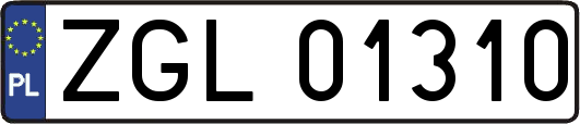 ZGL01310
