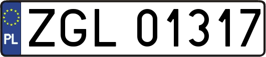 ZGL01317