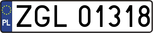 ZGL01318