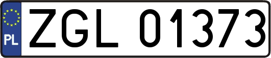 ZGL01373