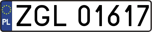ZGL01617
