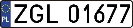 ZGL01677