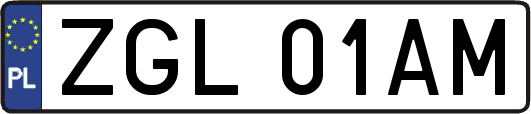 ZGL01AM
