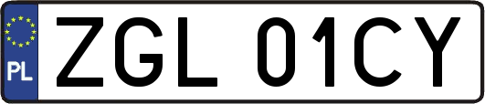 ZGL01CY