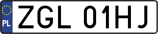 ZGL01HJ