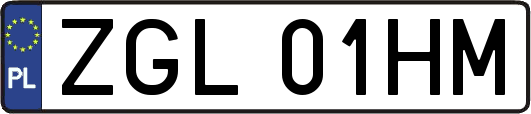 ZGL01HM