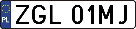 ZGL01MJ