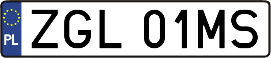 ZGL01MS