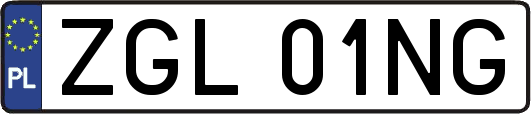 ZGL01NG