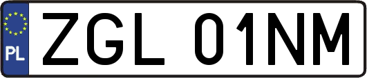 ZGL01NM
