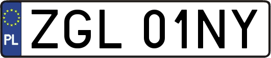 ZGL01NY