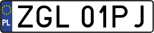 ZGL01PJ
