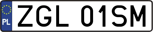 ZGL01SM