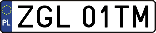 ZGL01TM