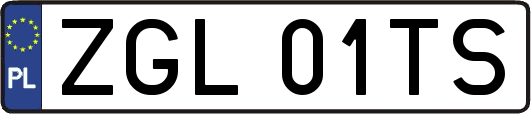 ZGL01TS