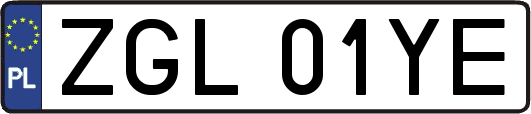 ZGL01YE