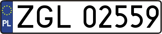 ZGL02559