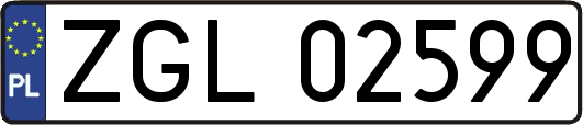 ZGL02599