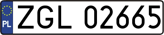 ZGL02665