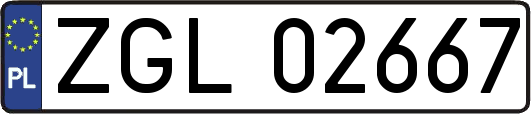 ZGL02667