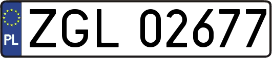 ZGL02677