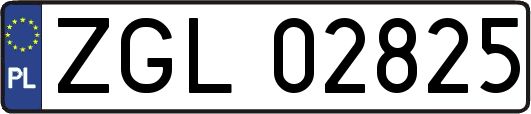 ZGL02825