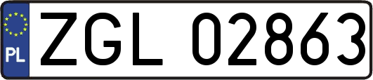 ZGL02863