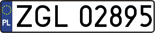 ZGL02895