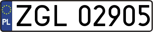 ZGL02905