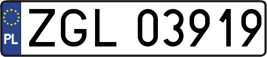 ZGL03919