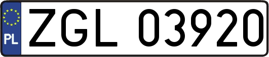 ZGL03920
