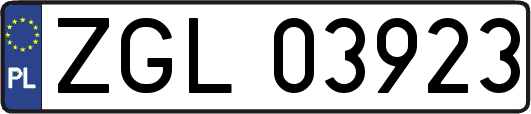 ZGL03923