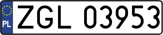 ZGL03953