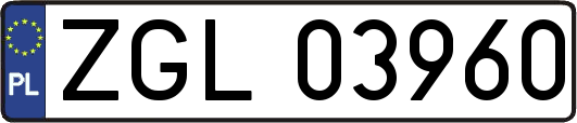 ZGL03960
