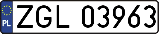 ZGL03963