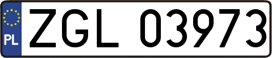 ZGL03973