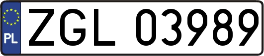 ZGL03989