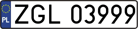 ZGL03999