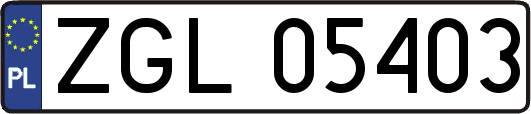 ZGL05403