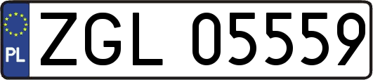 ZGL05559