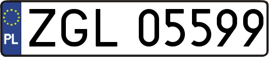 ZGL05599