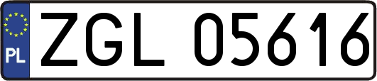 ZGL05616
