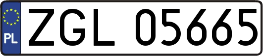 ZGL05665
