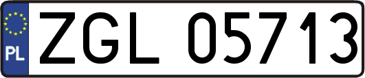 ZGL05713