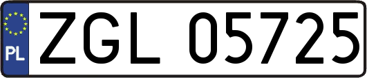 ZGL05725