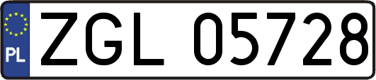ZGL05728
