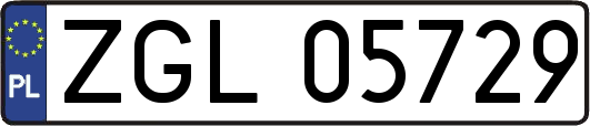 ZGL05729