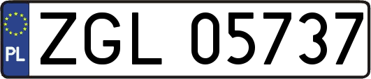 ZGL05737