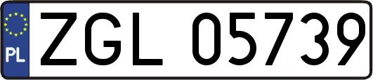 ZGL05739