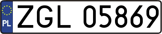 ZGL05869